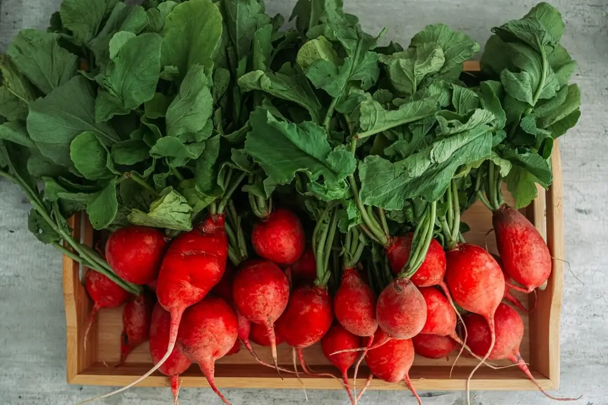 Remolacha para el batido vegano post entrenamiento.