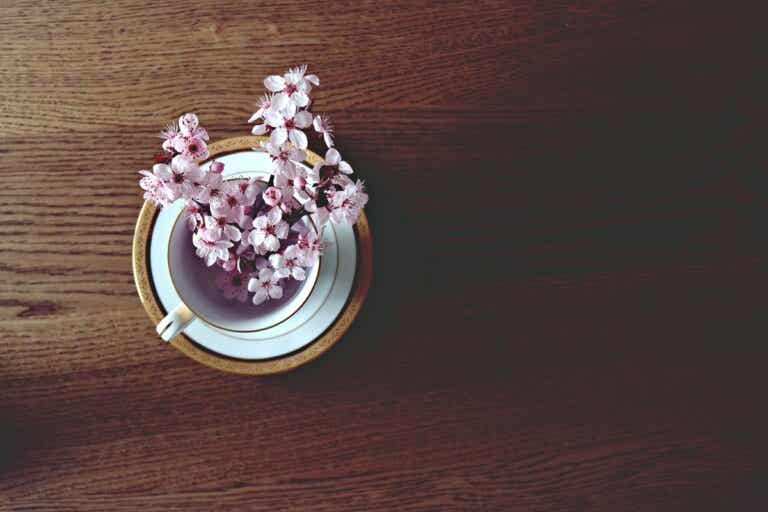 Cómo preparar un té de flores de cerezo para combatir la retención de líquidos