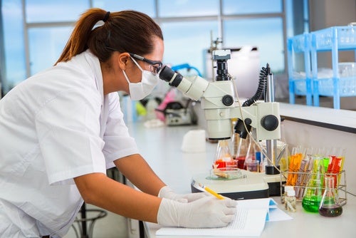 ¿Qué es el virus del Nilo Occidental?