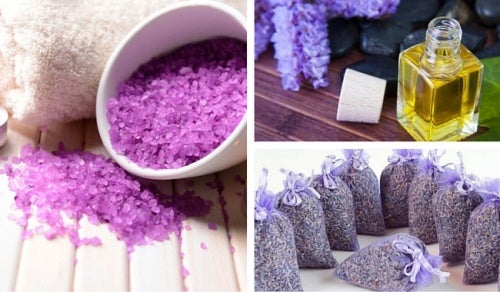 10 usos de la lavanda en el hogar, la cosmética y la medicina