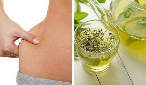6 bebidas con té verde para perder peso