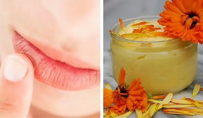 Crema hidratante para proteger los labios resecos y agrietados