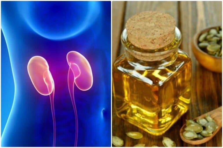 El aceite de semillas de calabaza favorece tu salud renal ¡Descúbrelo!