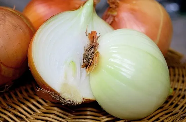 Cebolla blanca picada por la mitad.