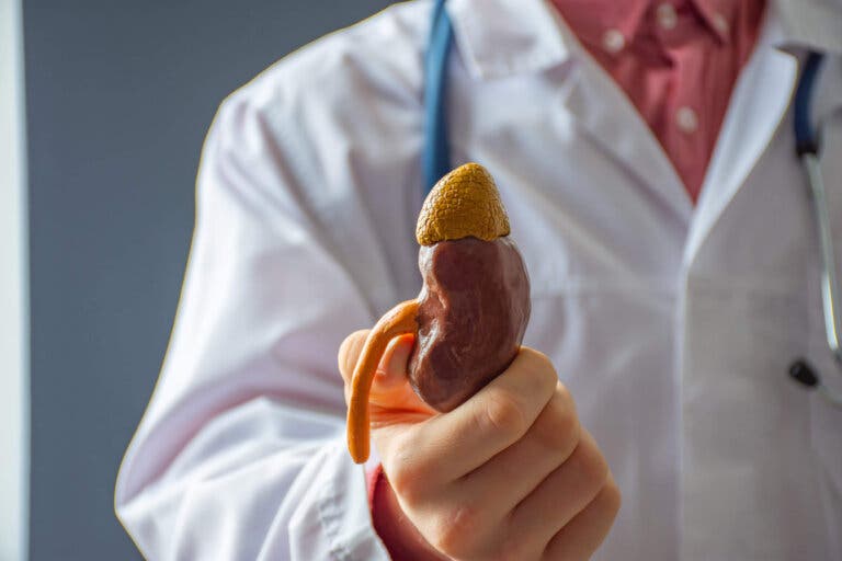 10 señales de enfermedades renales que no debes ignorar