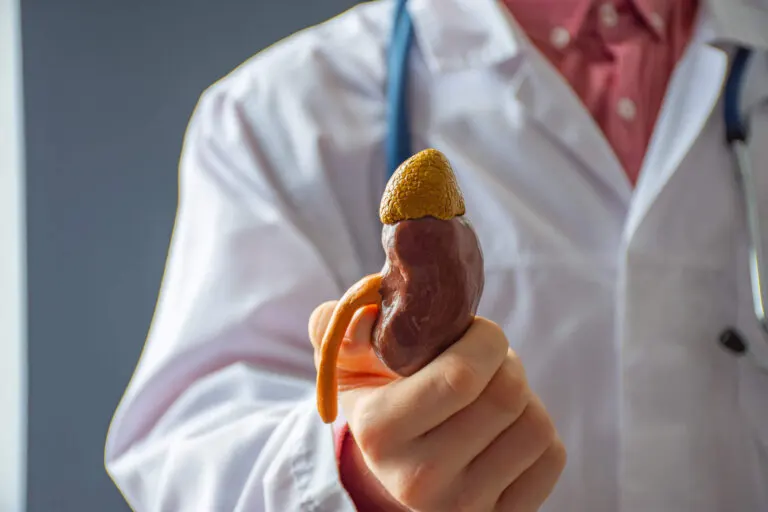 10 señales de enfermedades renales que no debes ignorar