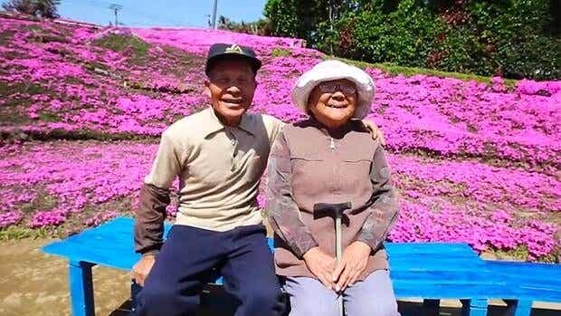Un japonés plantó miles de flores para que su esposa ciega las oliera