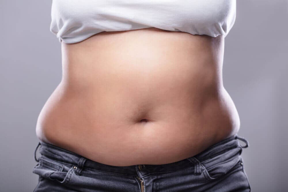 Grasa en el abdomen.