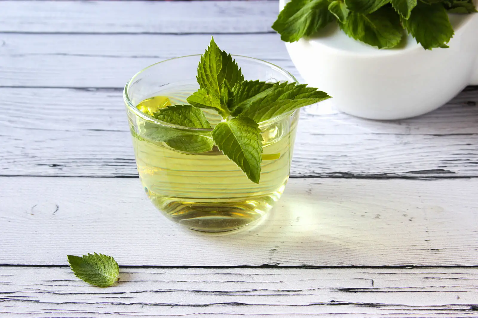 Té de menta taza