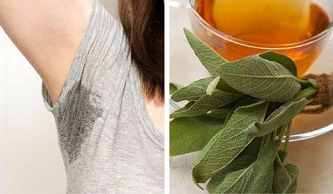 6 remedios caseros que te ayudarán a controlar el sudor