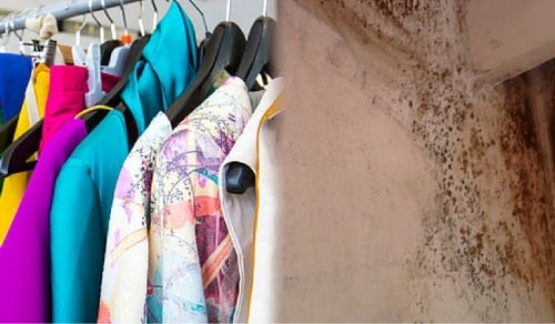 Con estos trucos económicos podrás quitar el olor a moho de tu ropa