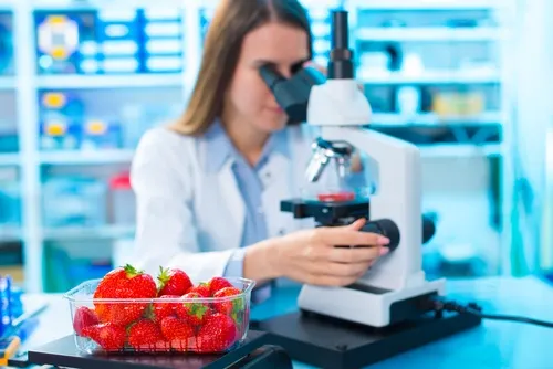 Investigacion