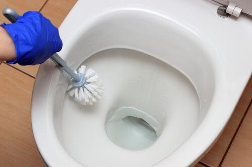 Limpiar el inodoro con vinagre blanco