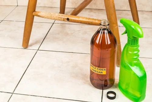 Vinagre de manzana y limón para quitar el olor a moho