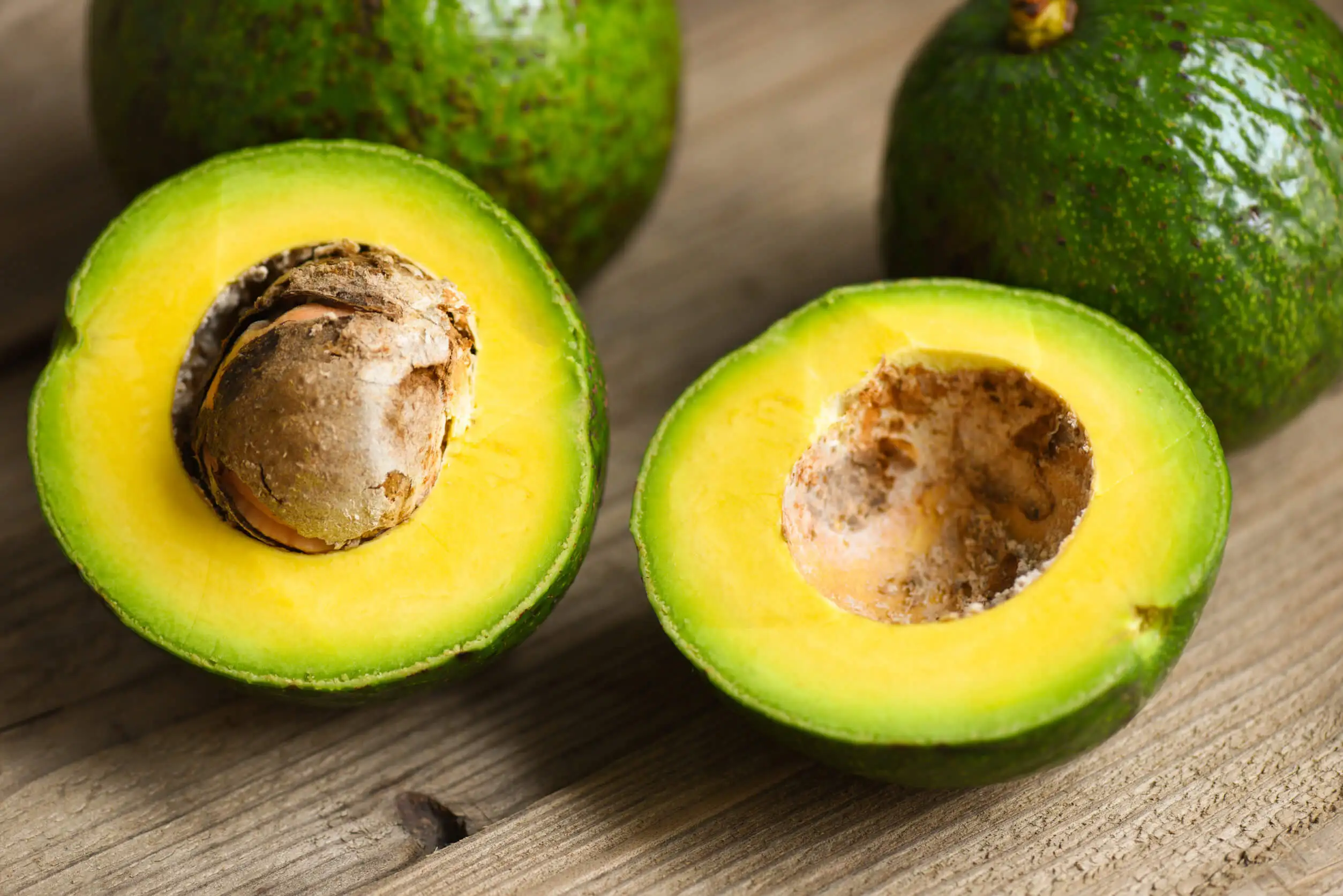 Que faut-il savoir sur l'avocat ?