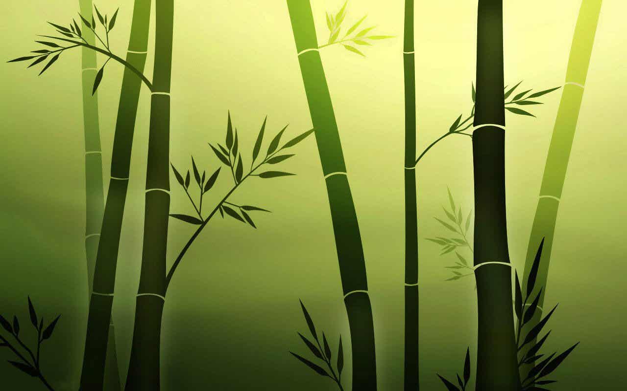 bambulardan oluşmuş arka plan görseli