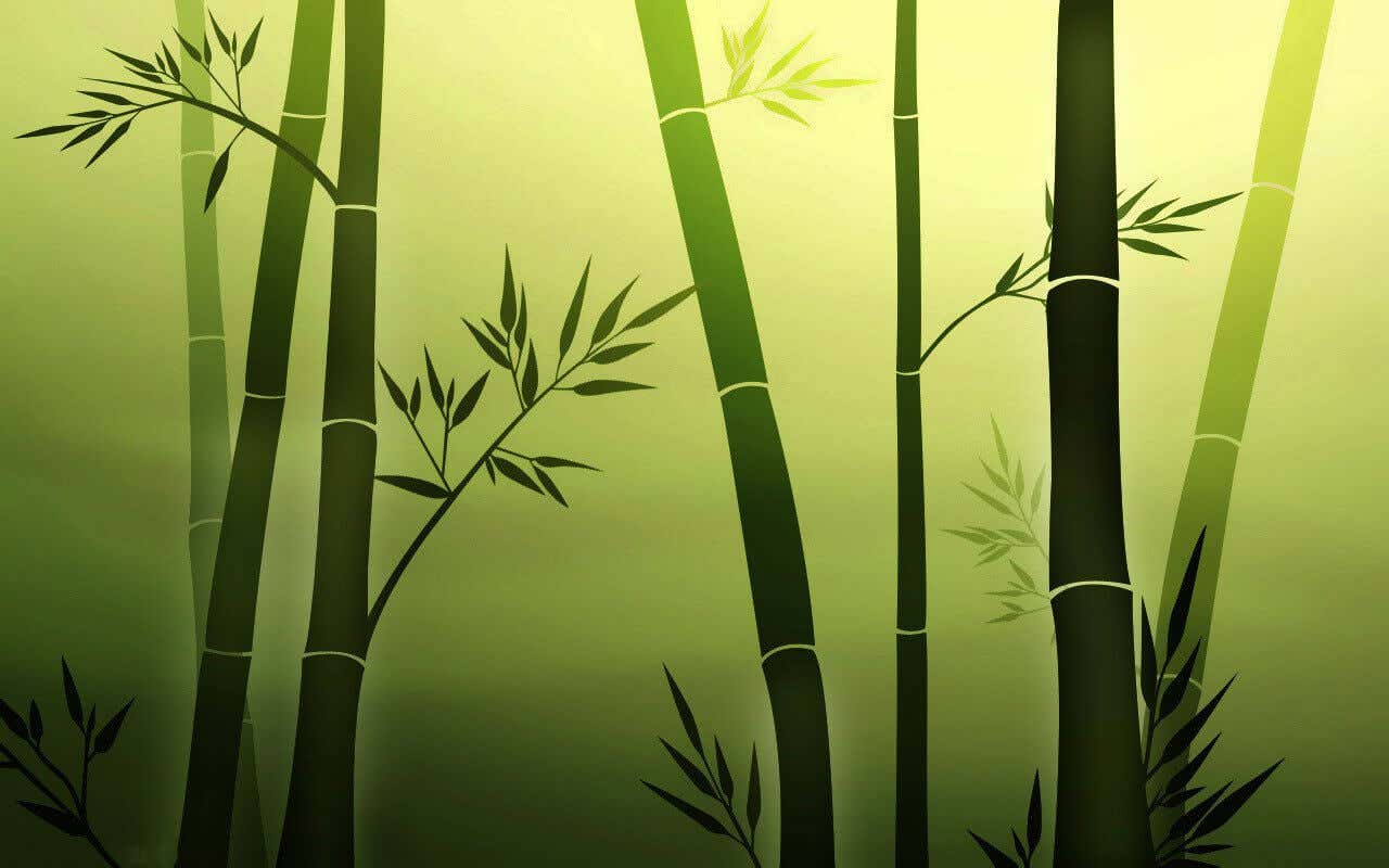 Image en bambou.