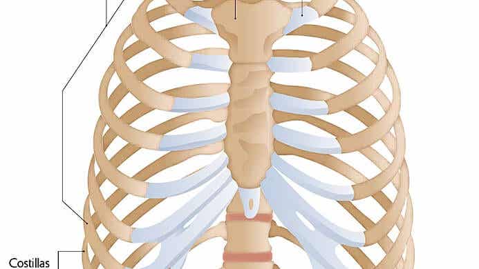 Rippenschmerzen: Die häufigsten Ursachen - Besser Gesund Leben