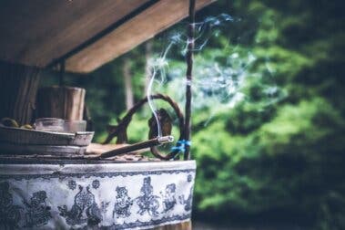11 remedios caseros para mantener los insectos alejados de tu casa