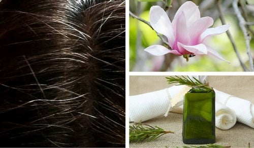 ¿Quieres disimular las canas? Prueba alguno de estos 6 tintes naturales