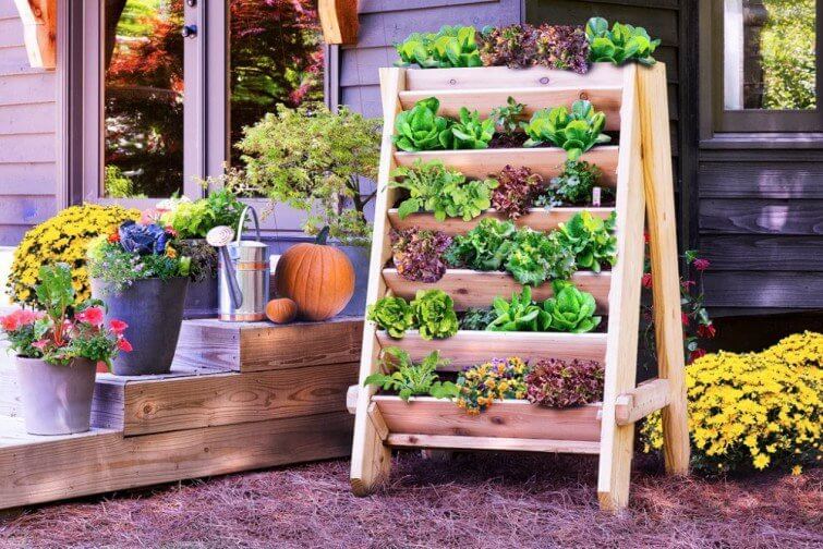 5 ideas para llenar nuestro hogar de energía positiva (3)