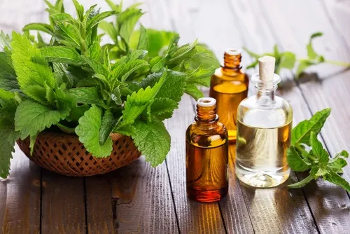 Aceite esencial de menta