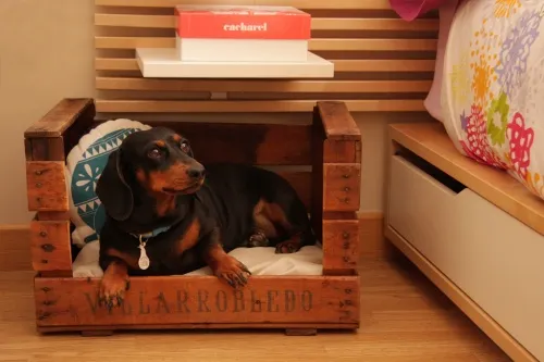 Aprender a elaborar una cama para mascotas con cajones de fruta