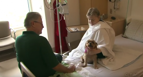 Mujer en el hospital con su perro