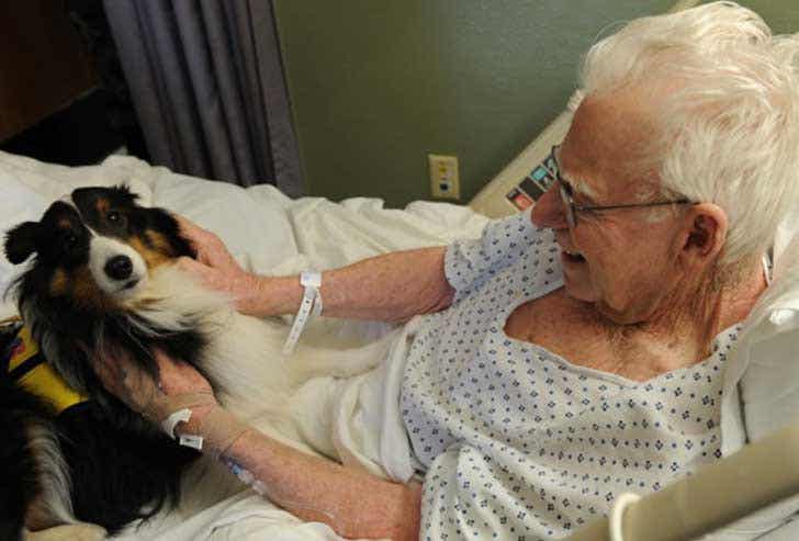 Paciente en un hospital con su mascota