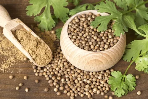 Semillas de cilantro