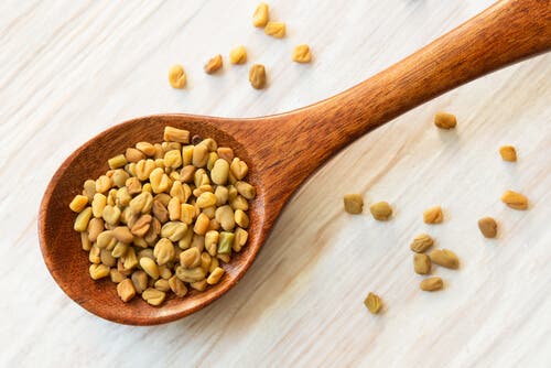 Graines de fenugrec pour augmenter le taux d'hémoglobine.