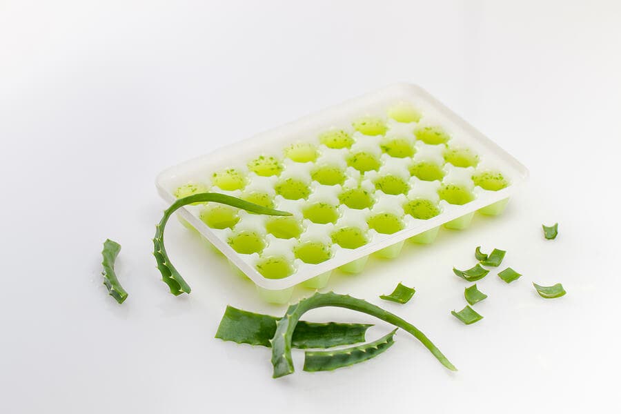 La congelación es el mejor método para guardar el gel de aloe vera.