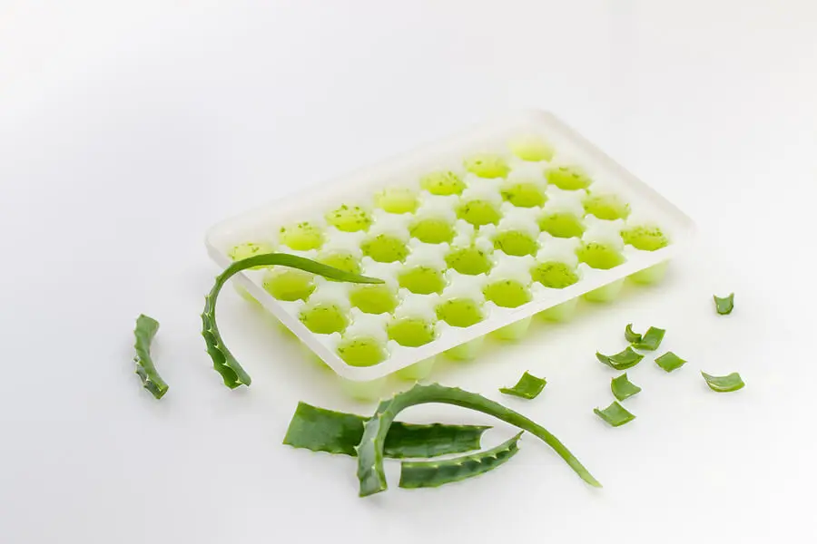 La congelación es el mejor método para guardar el gel de aloe vera.