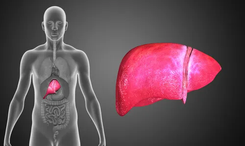 El hígado se resiente si no tomamos suficientes vegetales.