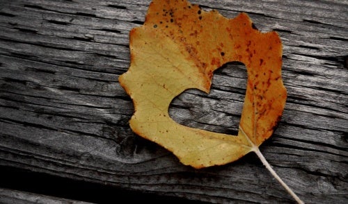 Leaf with the shape of a heart