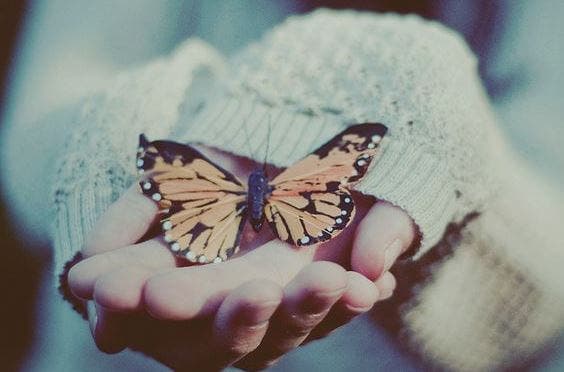 Mano con mariposa representando el arte de ignorar y dejar ir