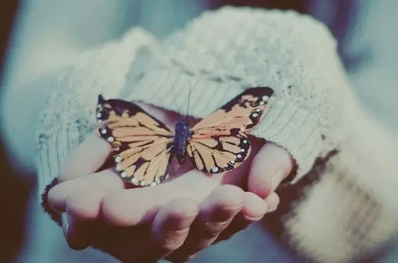 Mano con mariposa representando el arte de ignorar y dejar ir