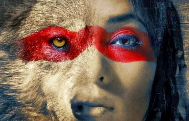 Un lobo no pierde el sueño por la opinión de las ovejas