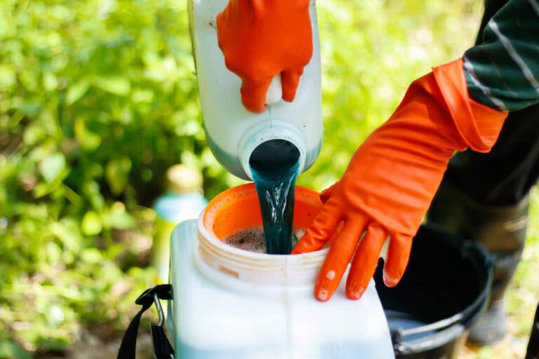 Cómo quitar los pesticidas de las verduras y frutas