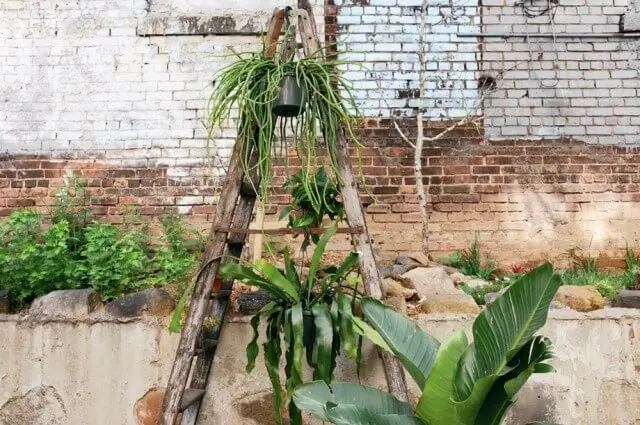 Una escalera de madera puede usarse para crear un jardín vertical