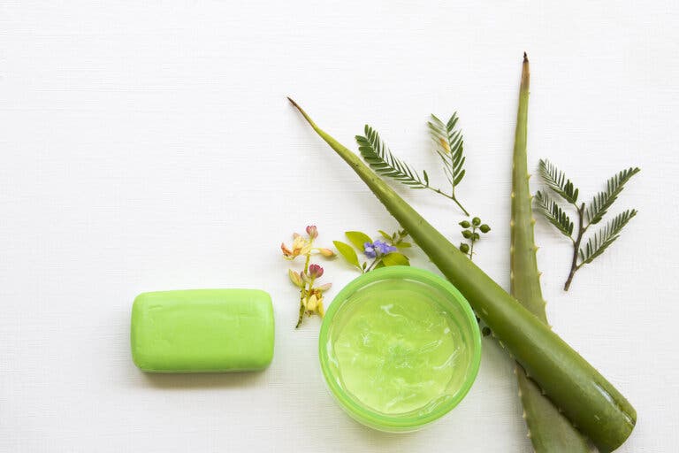 ¿Cómo hacer un jabón de aloe vera con efecto hidratante?