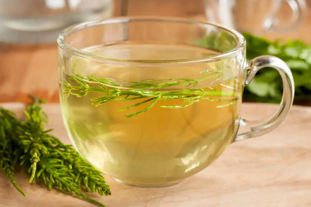Té de cola de caballo.