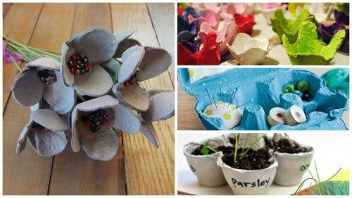 Después de leer esto no tirarás nunca más los cartones de huevos