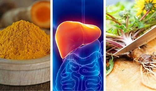 Estas son las 6 mejores hierbas para proteger el hígado