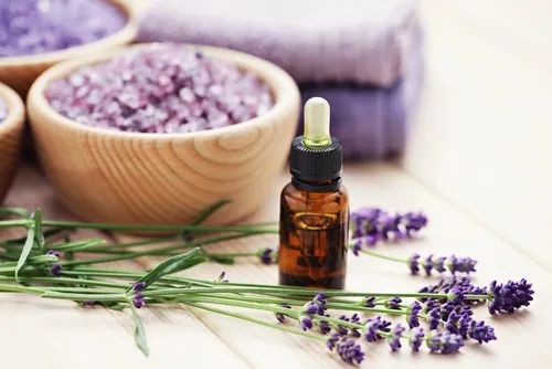 Lavanda