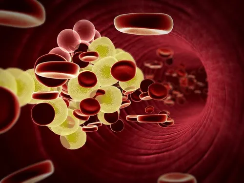 El hueso de aguacate mejora la salud cardiovascular
