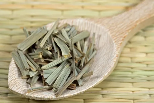 Citronela, muy útil frente a los mosquitos.