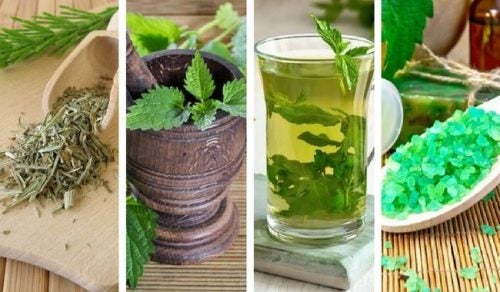 ¿Qué deben contener los mejores champús ecológicos?
