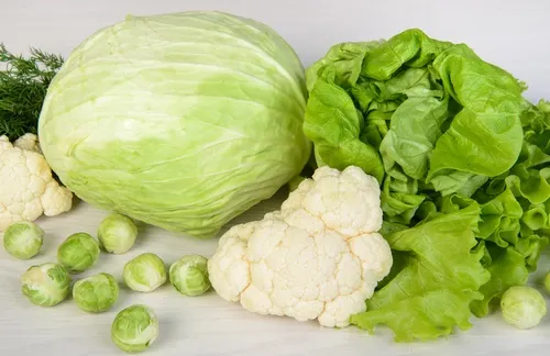 Vegetales de hojas verdes