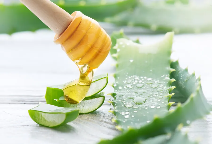 Combate la acidez y la gastritis con tan solo dos ingredientes